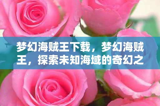 梦幻海贼王下载，梦幻海贼王，探索未知海域的奇幻之旅