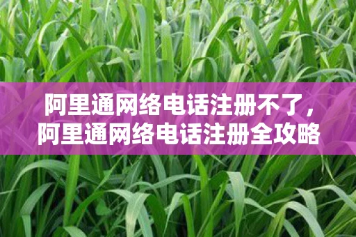 阿里通网络电话注册不了，阿里通网络电话注册全攻略，轻松几步，开启免费通话之旅