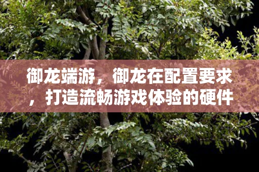 御龙端游，御龙在配置要求，打造流畅游戏体验的硬件指南