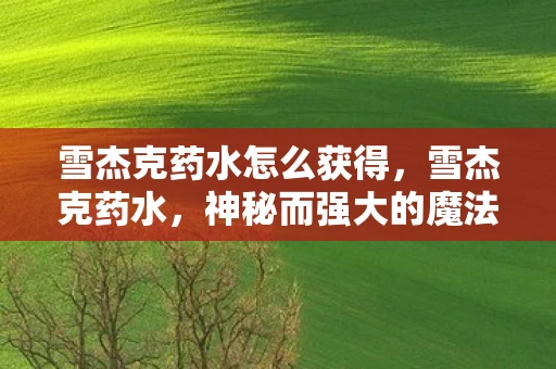 雪杰克药水怎么获得，雪杰克药水，神秘而强大的魔法药剂