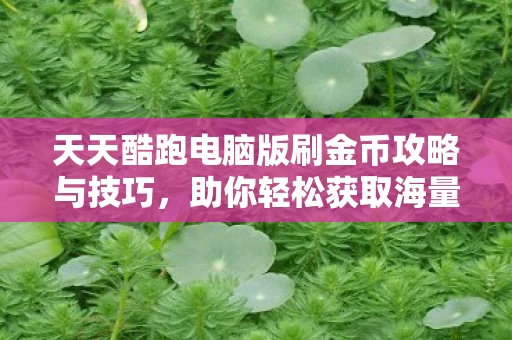 天天酷跑电脑版刷金币攻略与技巧图片