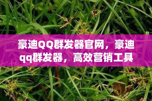 豪迪QQ群发器官网，豪迪qq群发器，高效营销工具还是灰色产业？