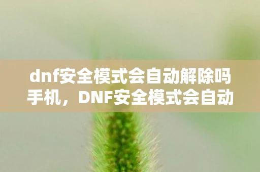 dnf安全模式会自动解除吗手机，DNF安全模式会自动解除吗？详解与解答