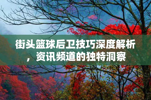 街头篮球后卫技巧深度解析图片