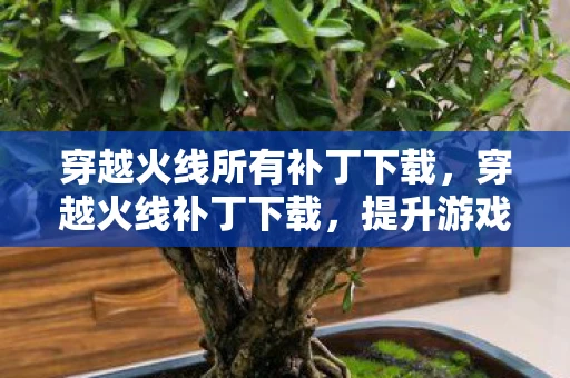穿越火线所有补丁下载，穿越火线补丁下载，提升游戏体验的必备工具