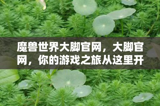 魔兽世界大脚官网，大脚官网，你的游戏之旅从这里开始