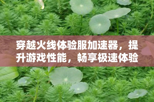 穿越火线体验服加速器，提升游戏性能，畅享极速体验