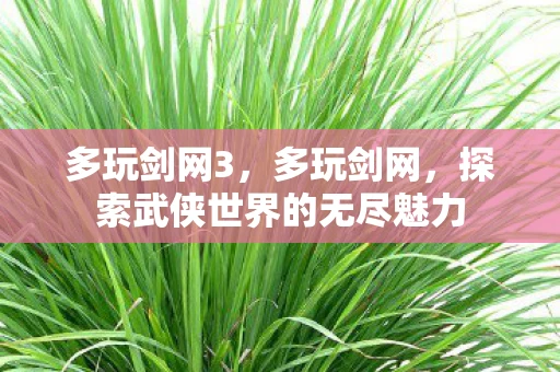 多玩剑网3，多玩剑网，探索武侠世界的无尽魅力