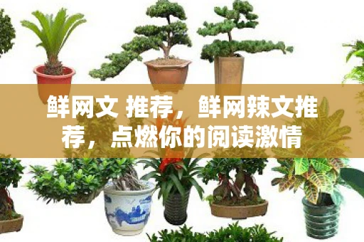 鲜网文 推荐，鲜网辣文推荐，点燃你的阅读激情