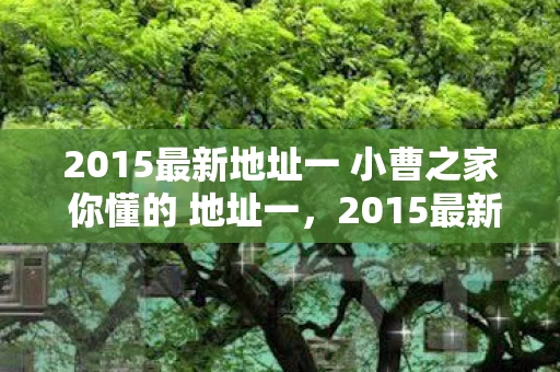 2015最新地址一 小曹之家 你懂的 地址一，2015最新地址，探索数字时代的空间变迁