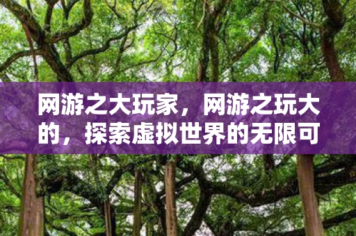 网游之大玩家，网游之玩大的，探索虚拟世界的无限可能