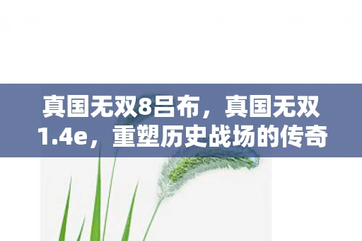 真国无双8吕布，真国无双1.4e，重塑历史战场的传奇