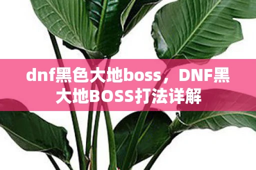 dnf黑色大地boss，DNF黑大地BOSS打法详解