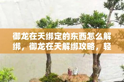 御龙在天绑定的东西怎么解绑，御龙在天解绑攻略，轻松解除绑定，保护账号安全