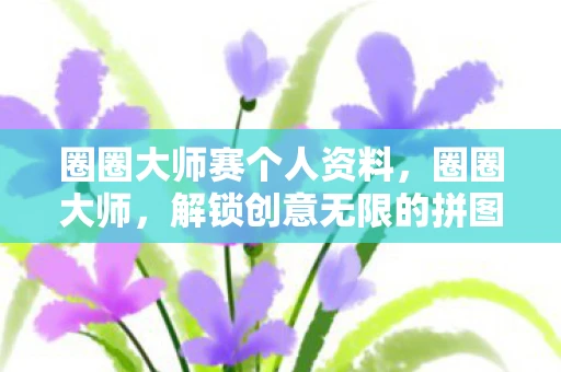 圈圈大师赛个人资料，圈圈大师，解锁创意无限的拼图艺术