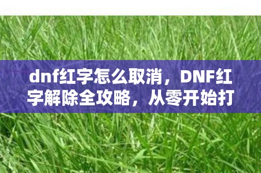 dnf红字怎么取消，DNF红字解除全攻略，从零开始打造完美装备