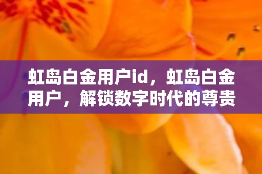 虹岛白金用户id，虹岛白金用户，解锁数字时代的尊贵特权