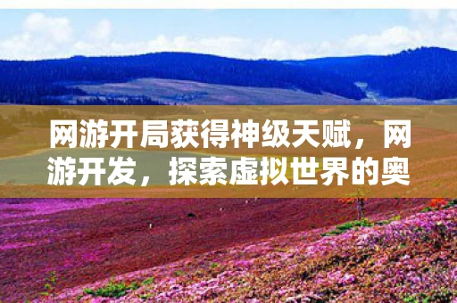 网游开局获得神级天赋，网游开发，探索虚拟世界的奥秘