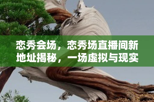 恋秀会场，恋秀场直播间新地址揭秘，一场虚拟与现实交织的浪漫盛宴