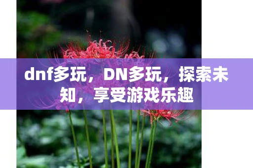 dnf多玩，DN多玩，探索未知，享受游戏乐趣