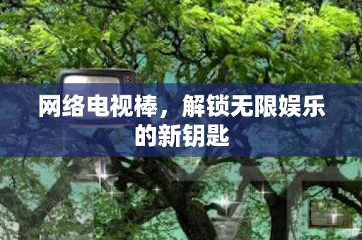 网络电视棒，解锁无限娱乐的新钥匙