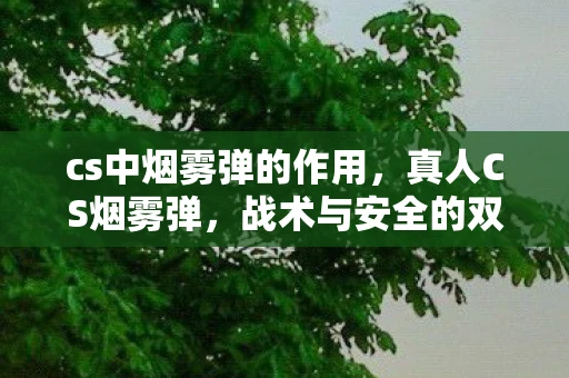 cs中烟雾弹的作用，真人CS烟雾弹，战术与安全的双重考量