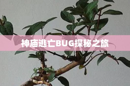 神庙逃亡BUG探秘之旅图片