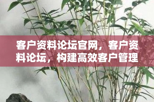 客户资料论坛官网，客户资料论坛，构建高效客户管理的秘密武器
