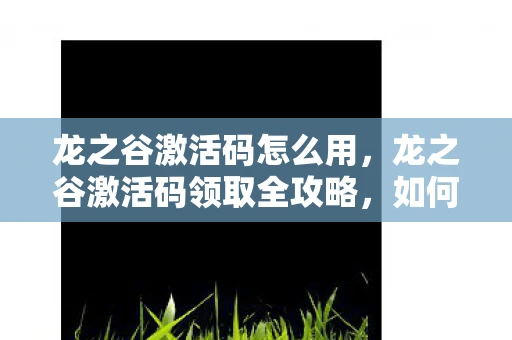 龙之谷激活码怎么用，龙之谷激活码领取全攻略，如何轻松获取并激活你的游戏账号