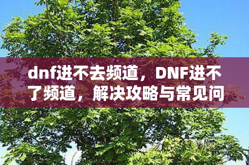 dnf进不去频道，DNF进不了频道，解决攻略与常见问题排查