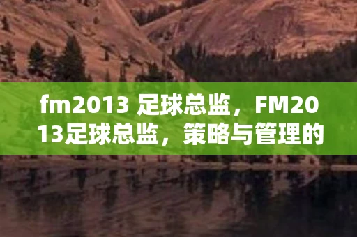 fm2013 足球总监，FM2013足球总监，策略与管理的艺术