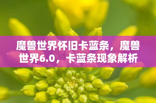 魔兽世界怀旧卡蓝条，魔兽世界6.0，卡蓝条现象解析与应对