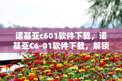 诺基亚c601软件下载，诺基亚C6-01软件下载，解锁手机潜能的钥匙