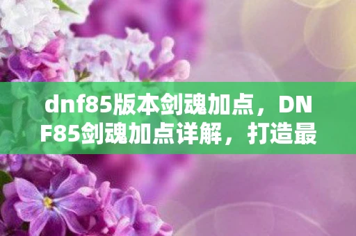 dnf85版本剑魂加点，DNF85剑魂加点详解，打造最强剑术大师