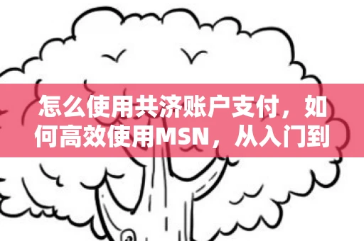 怎么使用共济账户支付，如何高效使用MSN，从入门到精通的指南