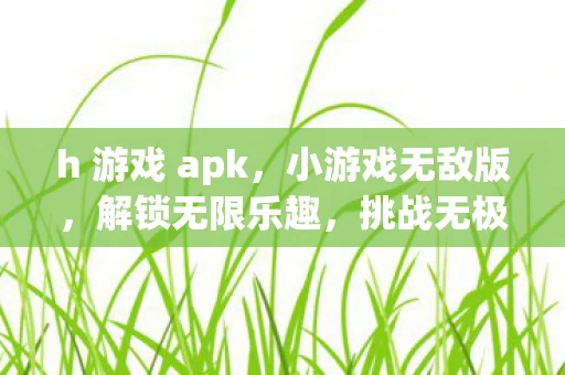 h 游戏 apk，小游戏无敌版，解锁无限乐趣，挑战无极限！