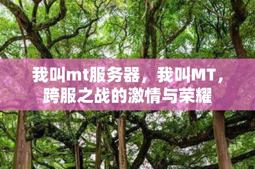 我叫mt服务器，我叫MT，跨服之战的激情与荣耀