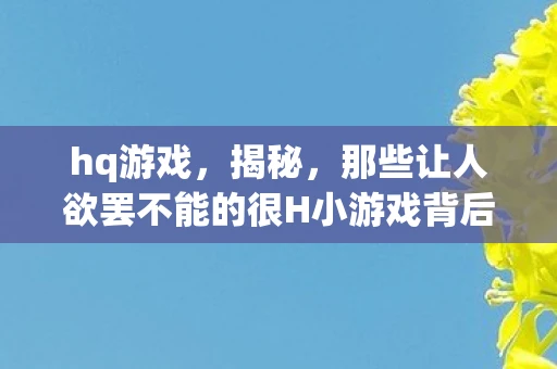 hq游戏，揭秘，那些让人欲罢不能的很H小游戏背后的秘密
