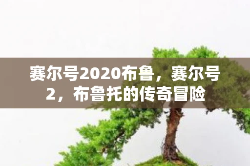 赛尔号2020布鲁，赛尔号2，布鲁托的传奇冒险