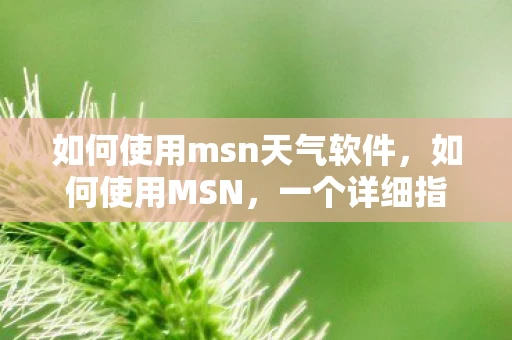 如何使用msn天气软件，如何使用MSN，一个详细指南