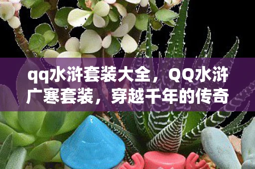 qq水浒套装大全，QQ水浒广寒套装，穿越千年的传奇装备