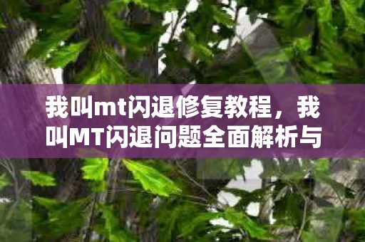 我叫mt闪退修复教程，我叫MT闪退问题全面解析与解决指南