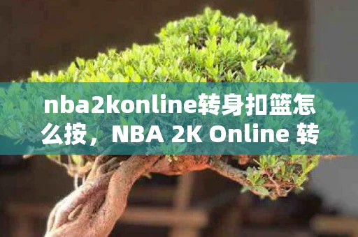nba2konline转身扣篮怎么按，NBA 2K Online 转身技巧全解析