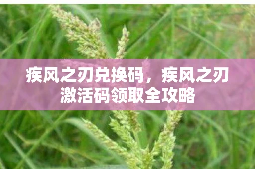 疾风之刃兑换码，疾风之刃激活码领取全攻略