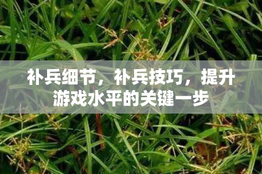 补兵细节，补兵技巧，提升游戏水平的关键一步