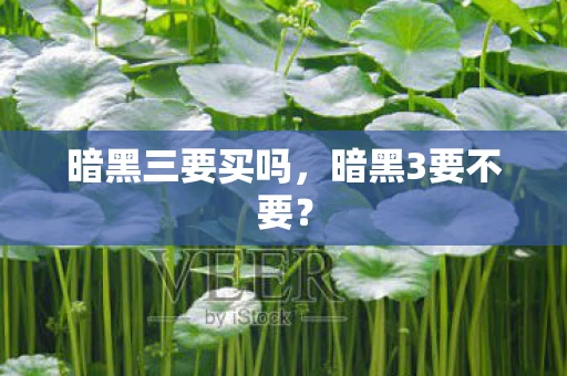 暗黑三要买吗，暗黑3要不要？