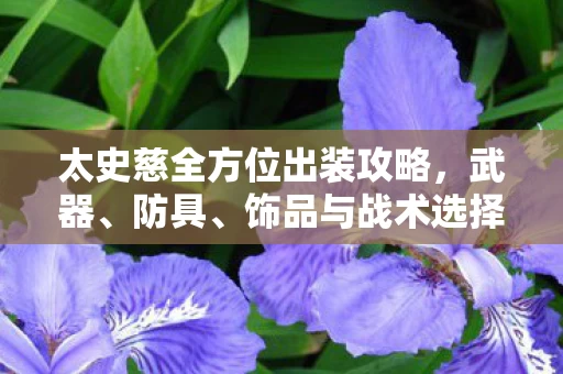饰品与战术选择一网打尽图片
