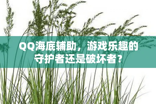 QQ海底辅助，游戏乐趣的守护者还是破坏者？