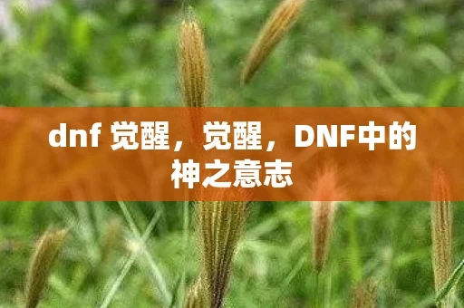 dnf 觉醒，觉醒，DNF中的神之意志