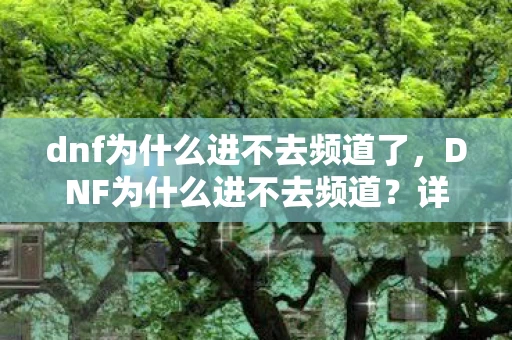 dnf为什么进不去频道了，DNF为什么进不去频道？详解原因及解决方法
